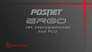 Kasa fiskalna Posnet Ergo online  jak zaprogramować kod PLU [upl. by Eah]