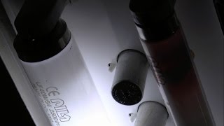 EOLfluorescent tube burnout T8 36W [upl. by Esilec]