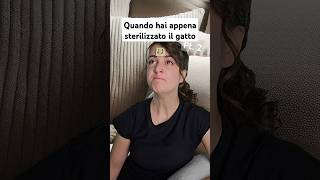 Spero nelle storie di gatti nei commenti 🤞🏻 [upl. by Arianne]