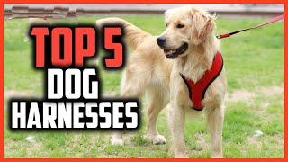 ✅ Top 5 Best Dog Harnesses for Walking in 2024 [upl. by Enelym324]