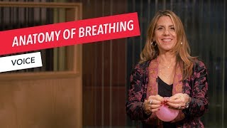 Voice Techniques Anatomy of Breathing  Singing  Vocals  Voice  Berklee Online [upl. by Zippel522]