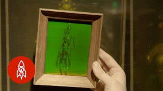 The LaserBased Science Behind 3D Holograms [upl. by Earehs]