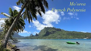 Moorea French Polynesia 4K UHD [upl. by Retrak]