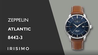 ZEPPELIN ATLANTIC 84423  IRISIMO [upl. by Nnaer760]