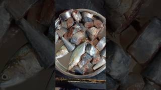 Surmai fish ki recipe 🐟🎣😋 short videoyt short [upl. by Arnaud94]