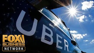 Uber is the Amazon of transportation Shervin Pishevar [upl. by Refannej970]