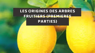 fruitexotique les origines des arbres fruitiers premieres parties [upl. by Elisee455]