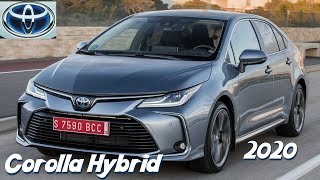 Novo Toyota Corolla 2020 Hybrid  Detalhes preço e consumo  Top Carros [upl. by Mckeon152]