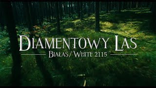 Białas amp White 2115  Diamentowy Las [upl. by Kenti]