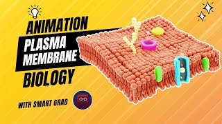 Plasma Membrane  Animation  Fluid Mosaic Model Animation  Function and Structure [upl. by Yeh]