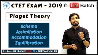 Piaget Theory Schema Assimilation AccommodationEquilibration  CDP CTET 2019 [upl. by Bakeman]