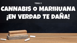 PREVENCIÓN DE ADICCIONES ESTRATEGIA EN EL AULA Cannabis en verdad daña juntosporlapaz docentes [upl. by Geraint65]