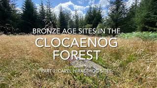 Bronze Age sites in the Clocaenog Forest  Part 2  Capel Hiraethog sites [upl. by Crichton746]