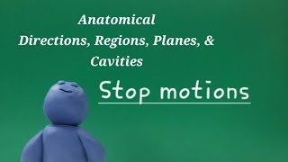 Anatomical Directions Regions Planes amp Cavities Stop Motions [upl. by Hailee]