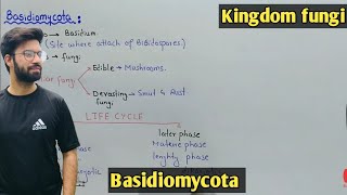 Basidiomycota Fung Life Cycle  Characteristics  Class 11 Biology [upl. by Attenahs869]