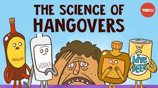 How does alcohol cause hangovers  Judy Grisel [upl. by Korman]