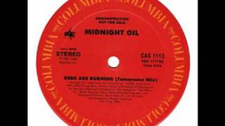 Midnight Oil  Beds Are Burning  Tamarama Mix [upl. by Marion612]