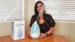 How To Use A Humidifier In A Room Bedroom and for Plants [upl. by Harihs]