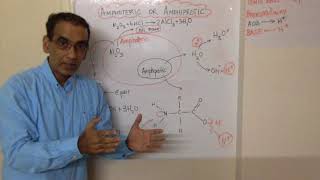 Amphiprotic vs Amphoteric IB Chemistry [upl. by Emmalee]