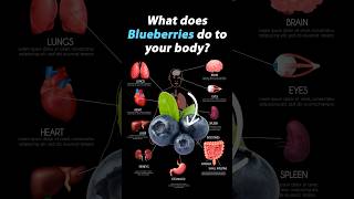 What Happens When You Start Eating Blueberries Everyday Blueberries Nutrition health Wellness [upl. by Warder]