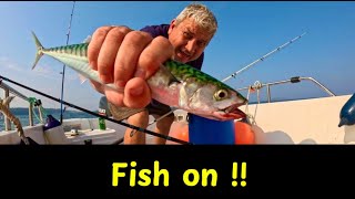 Mackerel Fishing on Boat  Guernsey Channel Islands Great Britain [upl. by Gordon]