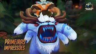 NUNU NOVO e Willump tambem  Primeiras Impressões [upl. by Eizzik]