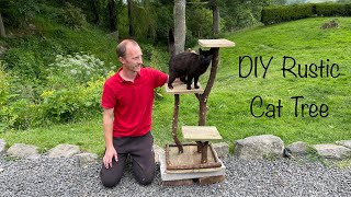 Building a Cat Tree using Branches amp Reclaimed wood [upl. by Pettit982]