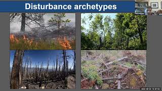 CAFFDW Webinar Series  Disturbance Silviculture Adaptation and Wildlife  September 20 2022 [upl. by Eellac277]