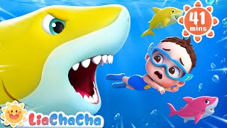 Baby Sharks in the Water  Ten Little Sharks  Number Song  Kids Songs amp Nursery Rhymes  LiaChaCha [upl. by Anatniuq788]