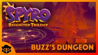 Spyro 3 Reignited  Part 8 Buzz’s Dungeon 100 [upl. by Maybelle]