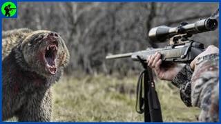 How Do American Hunters Deal With Thousands Of Black Bears  Farming Documentary [upl. by Breen297]