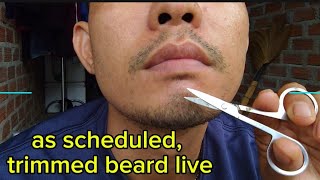 as scheduled trimmed beard live 8102024 [upl. by Onibla127]