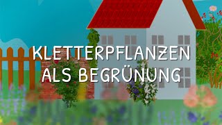 Kletterpflanzen als Begrünung [upl. by Ripleigh]