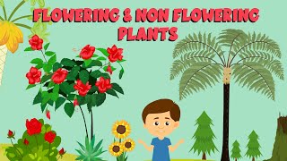 Flowering and non flowering plants  Plant life cycle  Video for Kids [upl. by Ennoval]