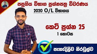 2020 OL Maths Past Paper Discussion in Sinhala 2020 සාමාන්‍ය පෙළ ගණිතය පසුගිය විභාග ප්‍රශ්න පත්‍රය [upl. by Jordain]