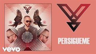 Yandel  Persígueme Audio [upl. by Jaeger458]