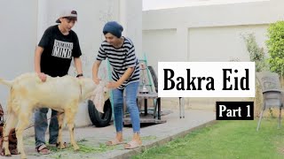 BAKRA EID SHORT STORY PART 1 [upl. by Akirehc415]