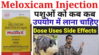 Meloxicam Injection Veterinary Medicine Uses Veterinary PharmacyMelonex Injection use Veterinary dr [upl. by Yk865]