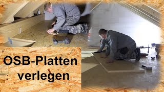 Fußboden mit OSBPlatten verlegen [upl. by Risser]