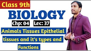 Animals Tissues  Epithelial Tissues amp its types  Functions  9th Bio Chp 4 Lec 37 [upl. by Fonville]