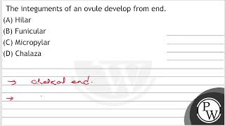 The integuments of an ovule develop from end A Hilar B Funicular C Micropylar D Chalaza [upl. by Derk]
