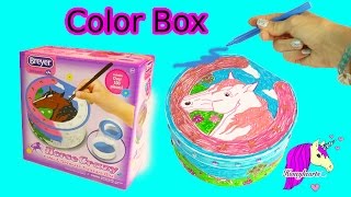 Breyer Horse Crazy Color amp Decorate Treasure Box Craft Video with Markers  Honeyhearts [upl. by Aisetal56]