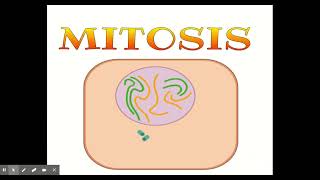 Mitosis [upl. by Asenaj494]