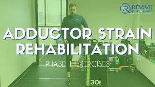 Adductor Strain  Groin Strain Rehab  Phase 1 Exercises  Midvale Utah Sports Chiropractic [upl. by Ardie344]