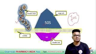 MECHANISM OF ACTION OF STREPTOMYCIN  PHARMACOLOGY [upl. by Condon]