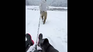 Khajjiar Himachal Pradesh  Khajjiar in winter  Khajjiar vlog  Khajjiar dalhousie activities [upl. by Minta]