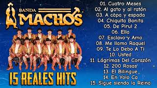 Banda Machos  Puras Rancheras  Los Éxitos Dorados de Banda Machos 15 Reales Hits [upl. by Liebowitz]