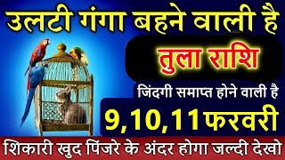 तुला राशि 91011 फरवरी 2024 उलटी गंगा बहने वाली है शिकारी खुद पिंजरे के अंदर होगा tula rashi [upl. by Nnylharas]