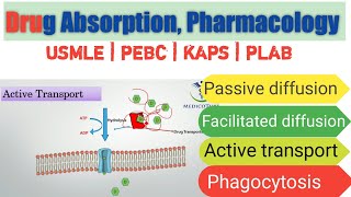 Drug Absorption Pharmacokinetics Pasive Diffusion Facilitated Diffusion Active transport [upl. by Koran]