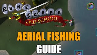 Aerial Fishing Guide  Old School RuneScape [upl. by Belia936]